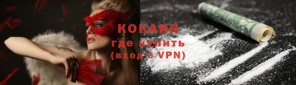 индика Горняк