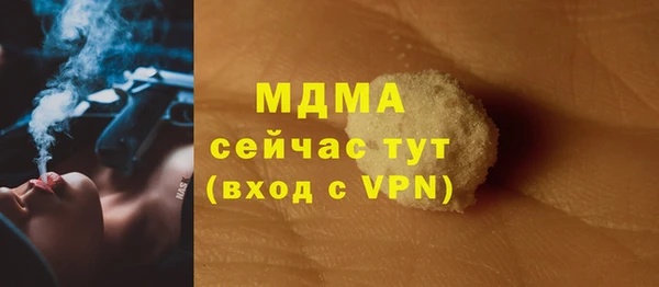 индика Горняк