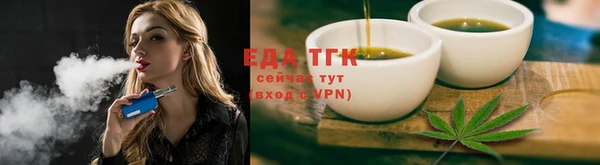индика Горняк