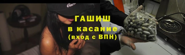 индика Горняк
