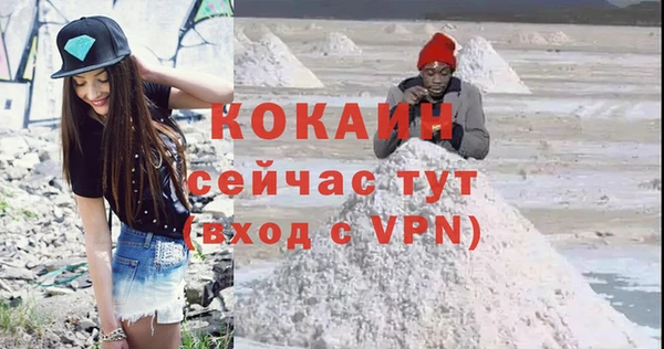 индика Горняк