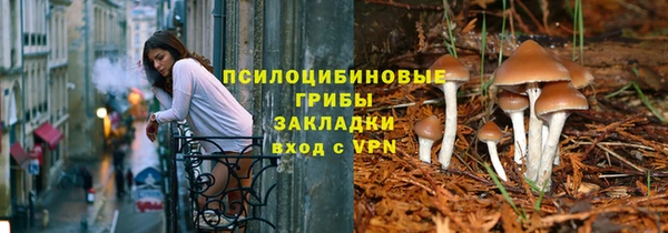 индика Горняк