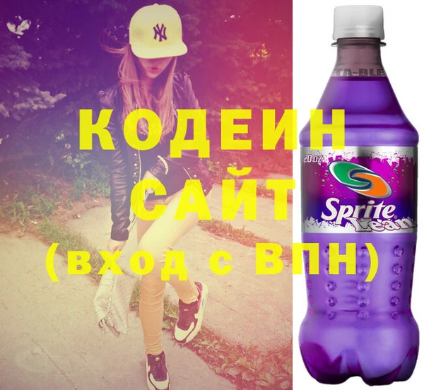 индика Горняк