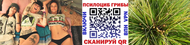 Псилоцибиновые грибы Magic Shrooms  Вичуга 