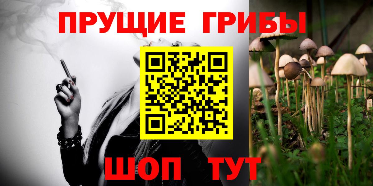 Галлюциногенные грибы прущие грибы  Галлюциногенные грибы Cubensis  Вичуга 