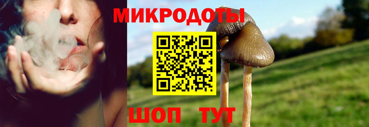 Вичуга  Псилоцибиновые грибы GOLDEN TEACHER  Галлюциногенные грибы GOLDEN TEACHER  где можно купить   Вход с VPN 